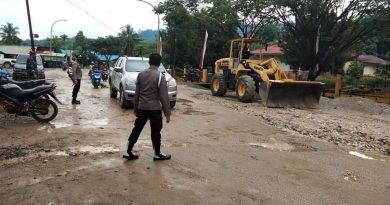 Pemkab Morowali Tutup Mata Aksi Warga Protes Tanam Pohon Pisang di Tengah Jalar Rusak.