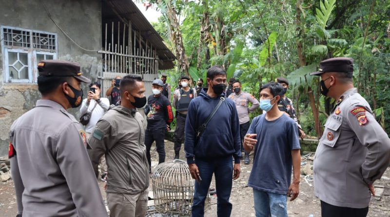 Polresta Cirebon Respon Cepat Laporan Sabung Ayam Via Media Sosial.