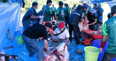 DKM IMIP Sembelih 12 Ekor Sapi dan Satu Ekor Kambing.