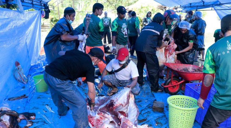 DKM IMIP Sembelih 12 Ekor Sapi dan Satu Ekor Kambing.