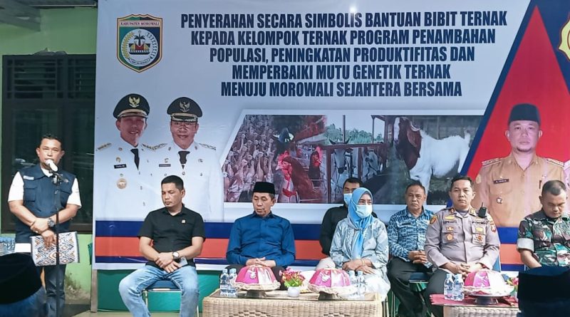 Menuju Morowali Sejahtera Bersama Pemkab Morowali Salurkan Bantuan Bibit Ternak.