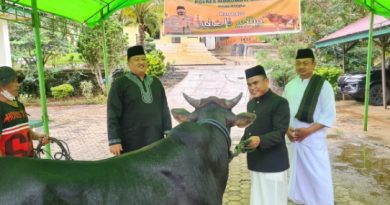 IDUL ADHA 1443 H. POLRES MOROWALI UTARA SEMBELIH 14 EKOR SAPI.