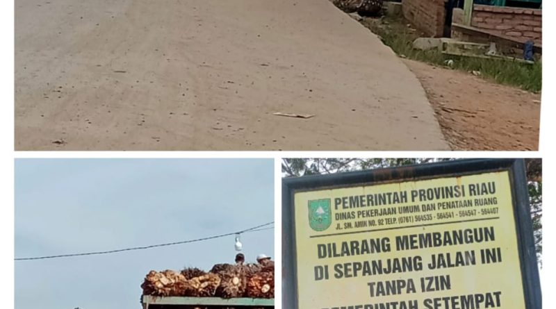 Menjamurnya Bangunan Liar Rumah Warga  Sepanjang pinggir Jalan Lintas Pesisir, Pemda Rohil Harus Bertindak Tegas.