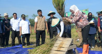 Ketersediaan Pangan Kab, Purwakarta Meningkat di Bandingkan Tahun 2022.