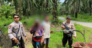 Panen Sawit di Milik perusahaan di Ringkus Polisi.