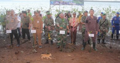 Kabupaten Tanah Bumbu Laksanakan Kegiatan Menanam Mangrove Nasional Serentak di Seluruh Indonesia