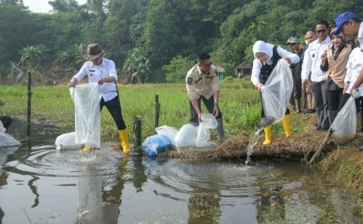 Bupati Anne Tebar Ribuan Benih Ikan Nila Dukung Ketahanan Pangan Warga Desa Citalang