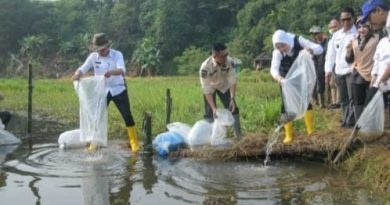 Perkuat Sumber Gizi Warga Bupati Purwakarta Sebar Ribuan Benih Ikan ke Beberapa Situ.