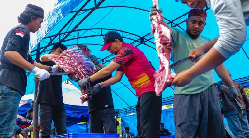 Dari 17 Ekor Sapi DKM IMIP Bagikan 1,2 Ton Daging Kurban