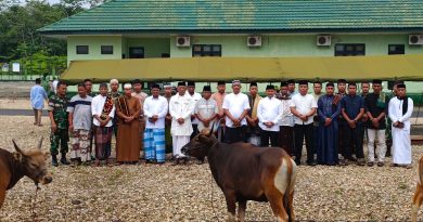 Kodim 1311/Morowali Gorok 8 Ekor Sapi Kurban Dan 1 Ekor Kambing