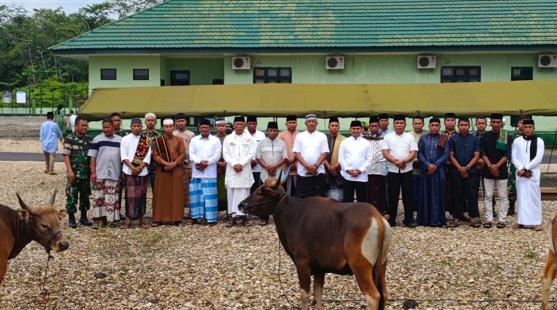 Kodim 1311/Morowali Gorok 8 Ekor Sapi Kurban Dan 1 Ekor Kambing