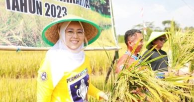 Purwakarta Siapkan Ribuan Hektar Sawah Untuk Produksi Beras Nutri Zinc Bagi Penderita Stunting