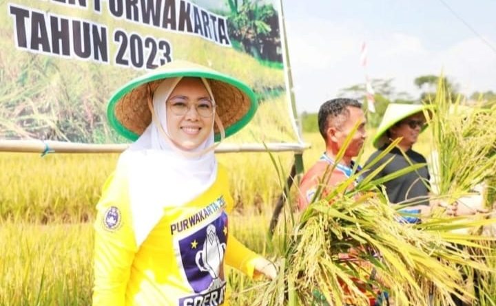 Purwakarta Siapkan Ribuan Hektar Sawah Untuk Produksi Beras Nutri Zinc Bagi Penderita Stunting