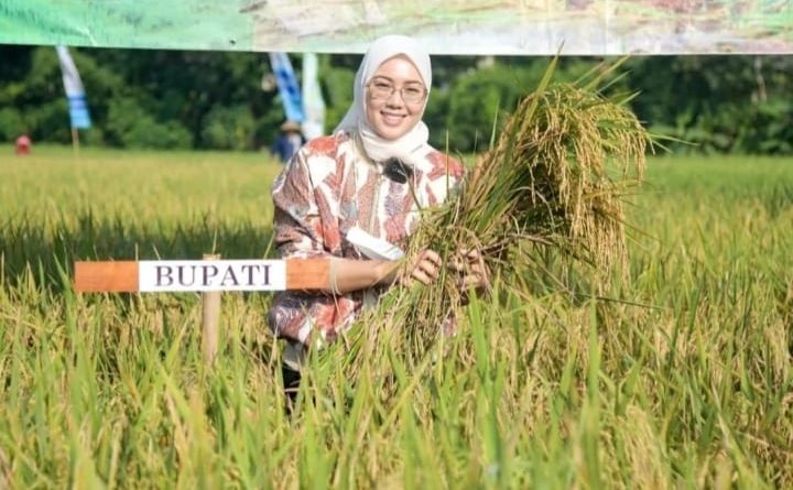 Purwakarta Perkuat Ketahanan Pangan Nasional Dalam Lima Tahun Menghasilkan Jutaan Ton Padi