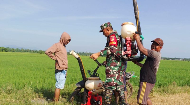 Atasi Kekeringan Sawah Di Morowali,Pelda Yonny Wungow Bantu Kelompok Tani Mekar Sari Lakukan Pompanisasi Air