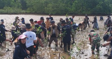 Menjaga Lingkungan,Kodim 1311/Morowali Bersama Pemerintah Daerah Morowali Serta Masyarakat Menanam 2560 Pohon Mangrove