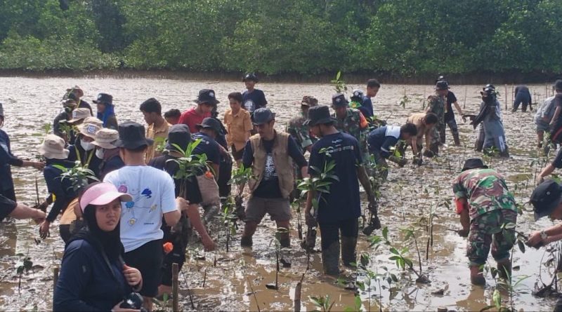 Menjaga Lingkungan,Kodim 1311/Morowali Bersama Pemerintah Daerah Morowali Serta Masyarakat Menanam 2560 Pohon Mangrove