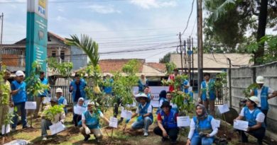 PLN GUNUNG PUTRI MELAKSANAKAN PENANAMAN 300 BIBIT POHON.