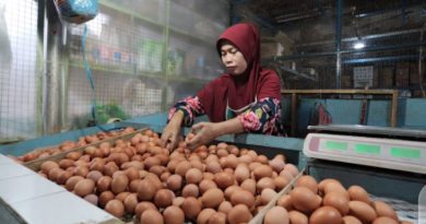 Jelang Ramadhan, TPID Depok Sidak Pasar, Stok Aman, Harga Naik Tipis.