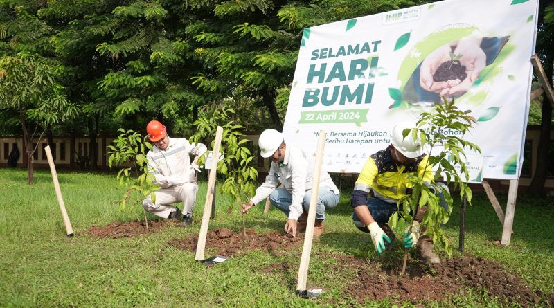 Peringati Hari Bumi,IMIP Tanam 1.000 Pohon Pelindung Jenis Flamboyan Dan Saga.