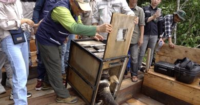 Puluhan Satwa Endemik Sulawesi Berhasil Dilepasliarkan Di TWA Tokobae