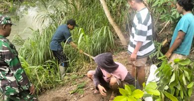 Peduli Lingkungan,Babinsa Bersama Masyarakat  Tanam Pohon Jati Putih dan Ketapang Kencana di Bantaran Sungai