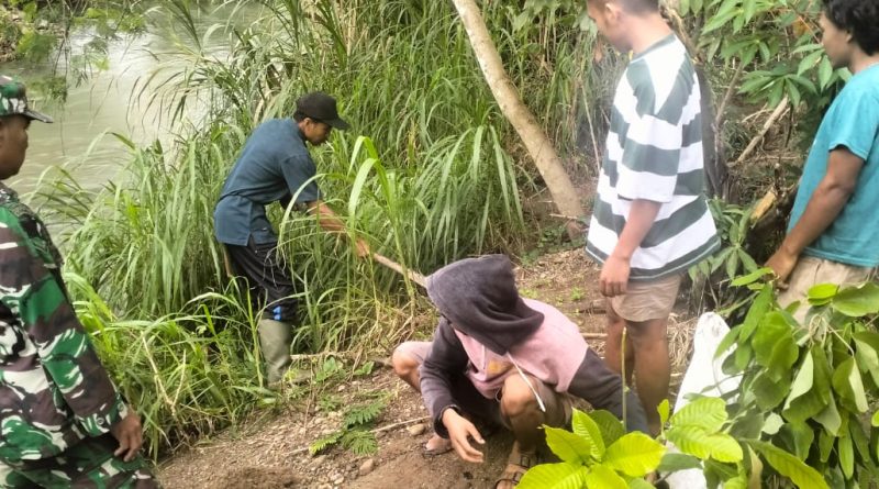 Peduli Lingkungan,Babinsa Bersama Masyarakat  Tanam Pohon Jati Putih dan Ketapang Kencana di Bantaran Sungai