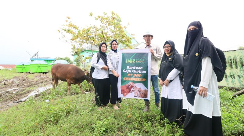 Idul Adha, IMIP Salurkan 35 Ekor Sapi Qurban Ke Masyarakat Morowali