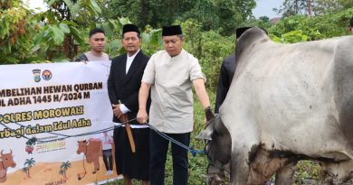 Idul Adha 1445 Hijriah , Polres Morowali Qurbankan 21 Ekor Sapi dan 4 Ekor Kambing