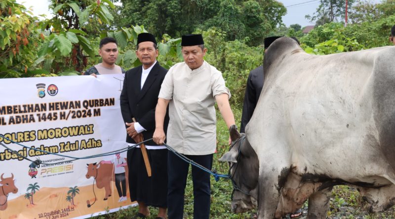 Idul Adha 1445 Hijriah , Polres Morowali Qurbankan 21 Ekor Sapi dan 4 Ekor Kambing