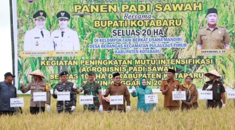 Panen Raya Padi di Kotabaru: Bukti Kolaborasi Pemerintah dan Masyarakat dalam Meningkatkan Agrobisnis