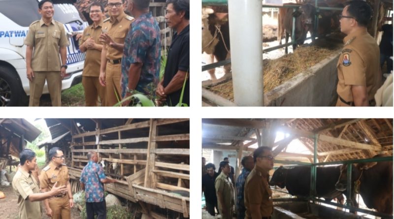 Pemkab Cirebon Pastikan Ketersediaan dan Kesehatan Hewan Kurban