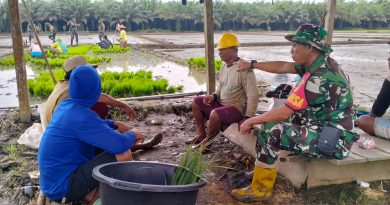 Komsos Desa Puntari Makmur,Sertu Suparman Berinteraksi Langsung Dengan  Kelompok Tani Padi