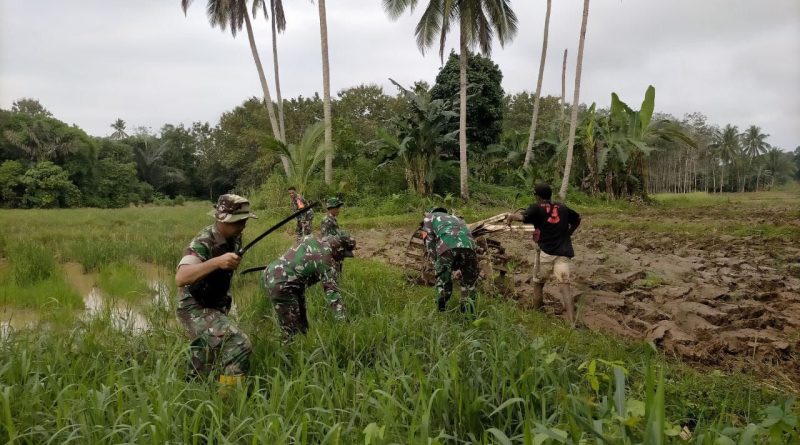 Tingkatkan Ketahanan Pangan, Para Babinsa Koramil 1311-04/Lembo Bersama Masyarakat olah Sawah