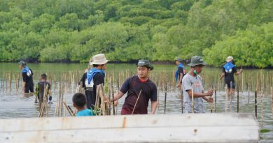 IMIP Kembali Tanam 3.000 Mangrove Di Bete-Bete Libatkan Berbagai Stakeholder,Komunitas Dan Masyarakat