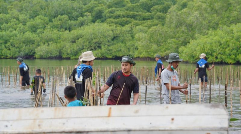 IMIP Kembali Tanam 3.000 Mangrove Di Bete-Bete Libatkan Berbagai Stakeholder,Komunitas Dan Masyarakat