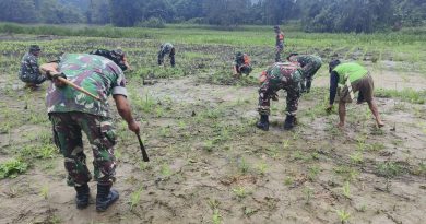 Meningkatkan Produksi Pangan,TNI Bantu Masyarakat Tani Tanam Jagung