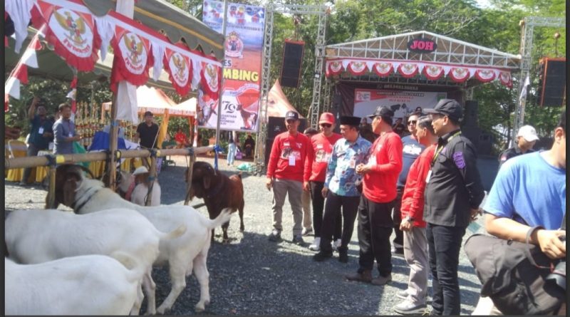 Antusiasme Pecinta Kambing di Kalimantan Selatan Memuncak pada Kontes Kambing JO Cemara