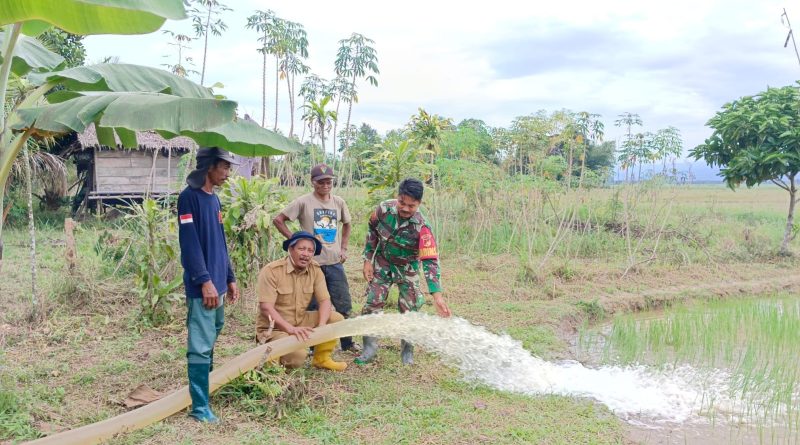 Babinsa Desa Tabarano Pimpin Langsung Uji Coba Mesin Pompanisasi Di Lahan Persawahan