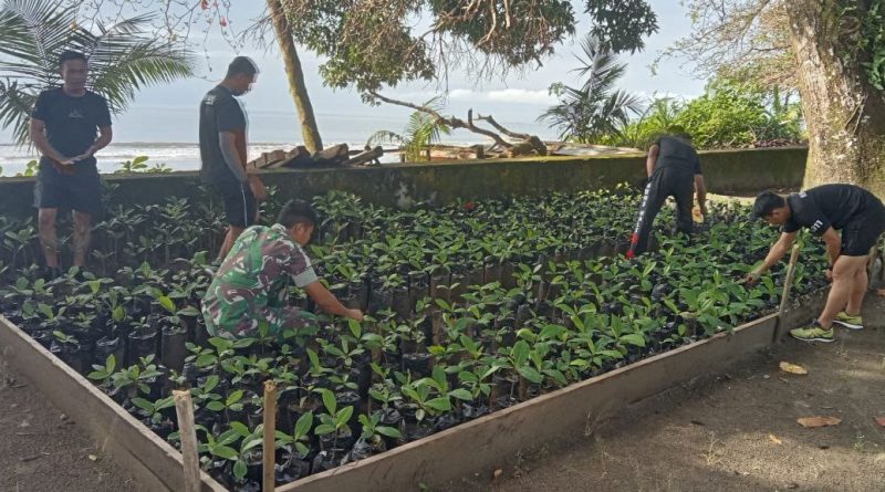 Penyemaian Dan Pembibitan Pohon Ketapang Dan Bibit Mangrove  Di Wilayah Koramil 06/Baturube