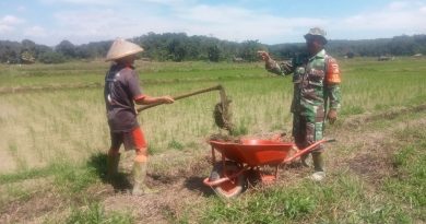 Penggalian Saluran Irigasi Desa Taliwan, Babinsa Turun Langsung Membantu Kelompok Tani