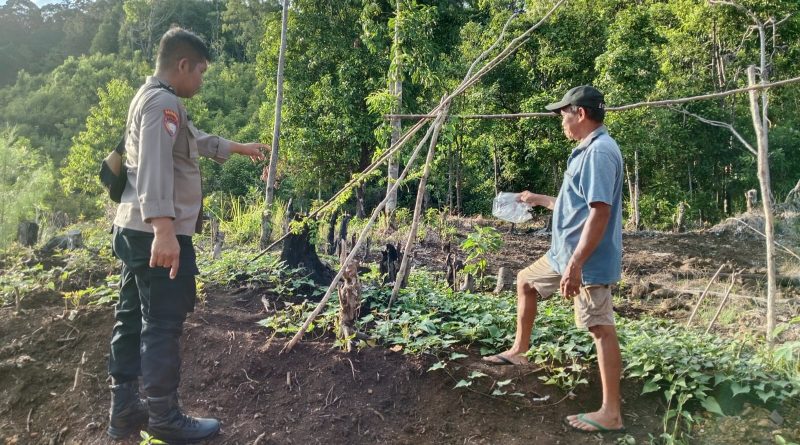 Bhabinkamtibmas Bantu Bibit  Dukung Ketahanan Pangan Di Desa Matarape