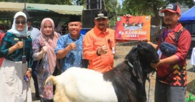 Pemkab Tanah Laut Gelar Kontes Kambing Extreme, Soroti Inovasi Peternak Lokal