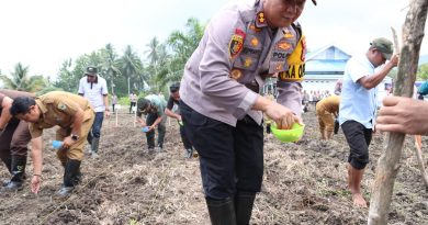 Polres Morowali Dan Polsek Jajaran Bersama Dinas Terkait Tanam Jagung  Seluas 4,2 Hektar