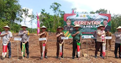 Danramil 1311-04/Lembo Hadiri  Penanaman Jagung Serentak 1 Juta Hektar Di Desa Korobonde