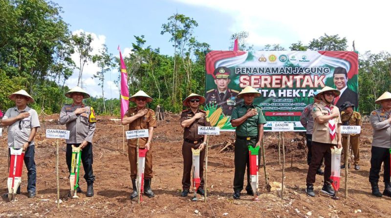 Danramil 1311-04/Lembo Hadiri  Penanaman Jagung Serentak 1 Juta Hektar Di Desa Korobonde
