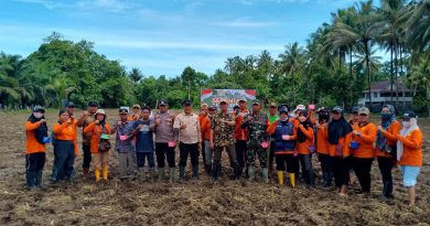 Koramil 1311-06 Turut Serta Dalam Penanaman Jagung Serentak 1 Juta Hektar Di Wilayah Morowali Utara