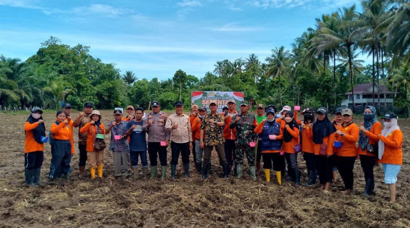 Koramil 1311-06 Turut Serta Dalam Penanaman Jagung Serentak 1 Juta Hektar Di Wilayah Morowali Utara