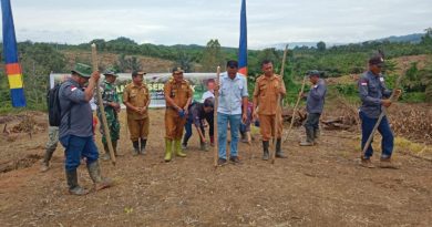 Babinsa Bersama Sejumlah Pejabat Dan Toko Daerah Hadiri Tanam Serentak Padi GOGO Di Wilayah Mori Atas