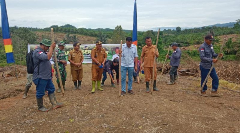 Babinsa Bersama Sejumlah Pejabat Dan Toko Daerah Hadiri Tanam Serentak Padi GOGO Di Wilayah Mori Atas